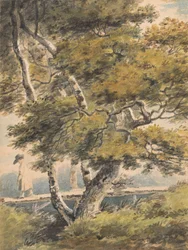 Alberi, con un uomo che attraversa un ponte pedonale